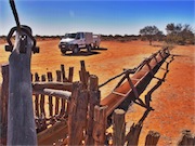 cattle trough