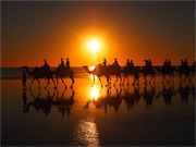 cable beach