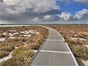 boardwalk