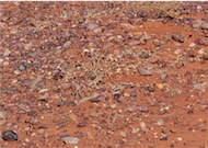 ground rocks