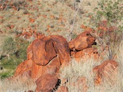 Petroglyphs