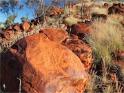 Petroglyphs