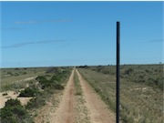 Old Nullabor Track