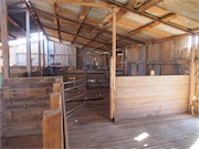 Shearing Shed