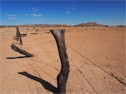 Mayne hotel ruins