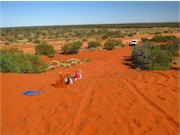 Sand Dune