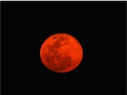 Blood Moon